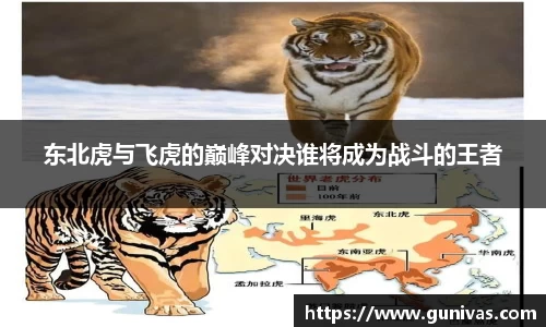东北虎与飞虎的巅峰对决谁将成为战斗的王者